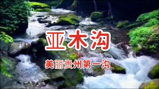 破解生育密码——试管婴儿技术的奥秘