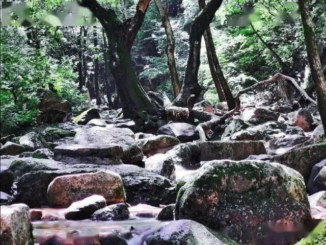精灵灯塔逃生